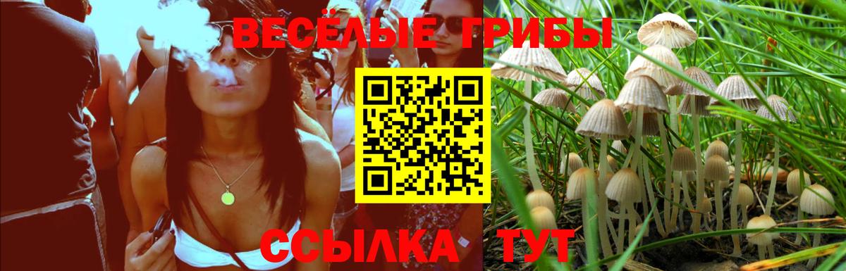 Псилоцибиновые грибы Cubensis Миасс